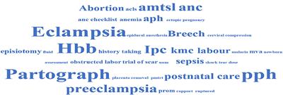 Healthcare Providers' Experiences With a Clinical Mentorship Intervention to Improve Reproductive, Maternal and Newborn Care in Mwanza, Tanzania